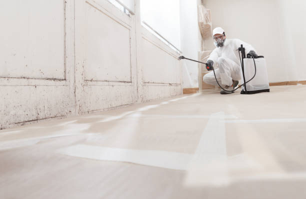 24/7 Emergency Bathroom Mold Removal experts in Marshall, TX